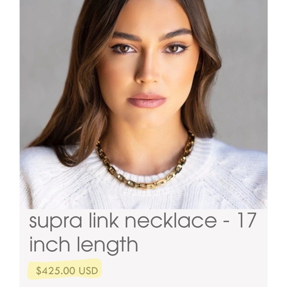 Eddie Borgo | Supra Link Necklace - 17 inch length 24k gold finished $425 retail - Picture 5 of 9